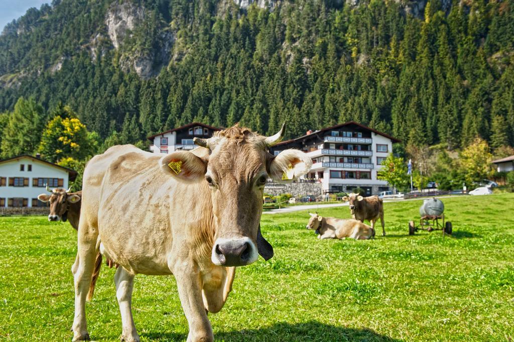 Familotel Bavaria Pfronten-Familien Hotel-Alles Inklusive Konzept Екстериор снимка